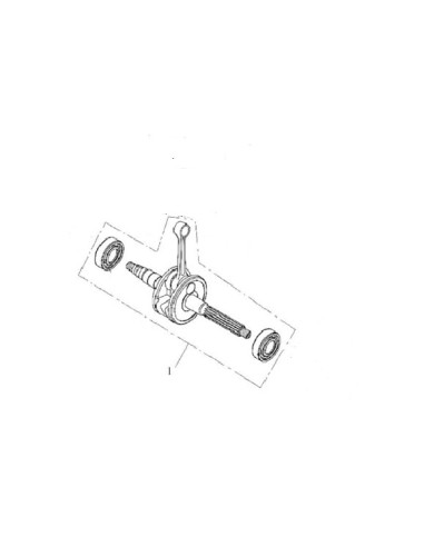 VILBREQUIN 2T N°1