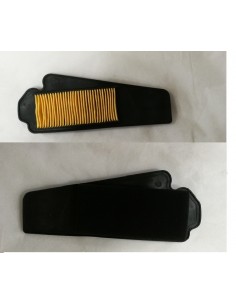 Filtre a air F22