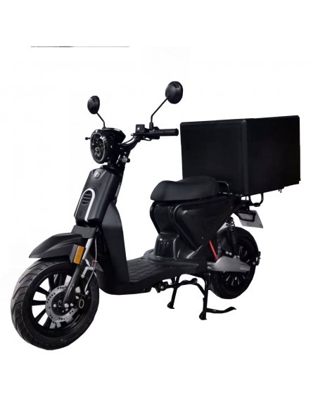 EUROCKA CKA C1SGA PRO NOIR BATTERIE LITHIUM 60V29AH