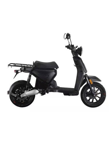 EUROCKA KAIWEI CKA C1SGA BATERÍA...